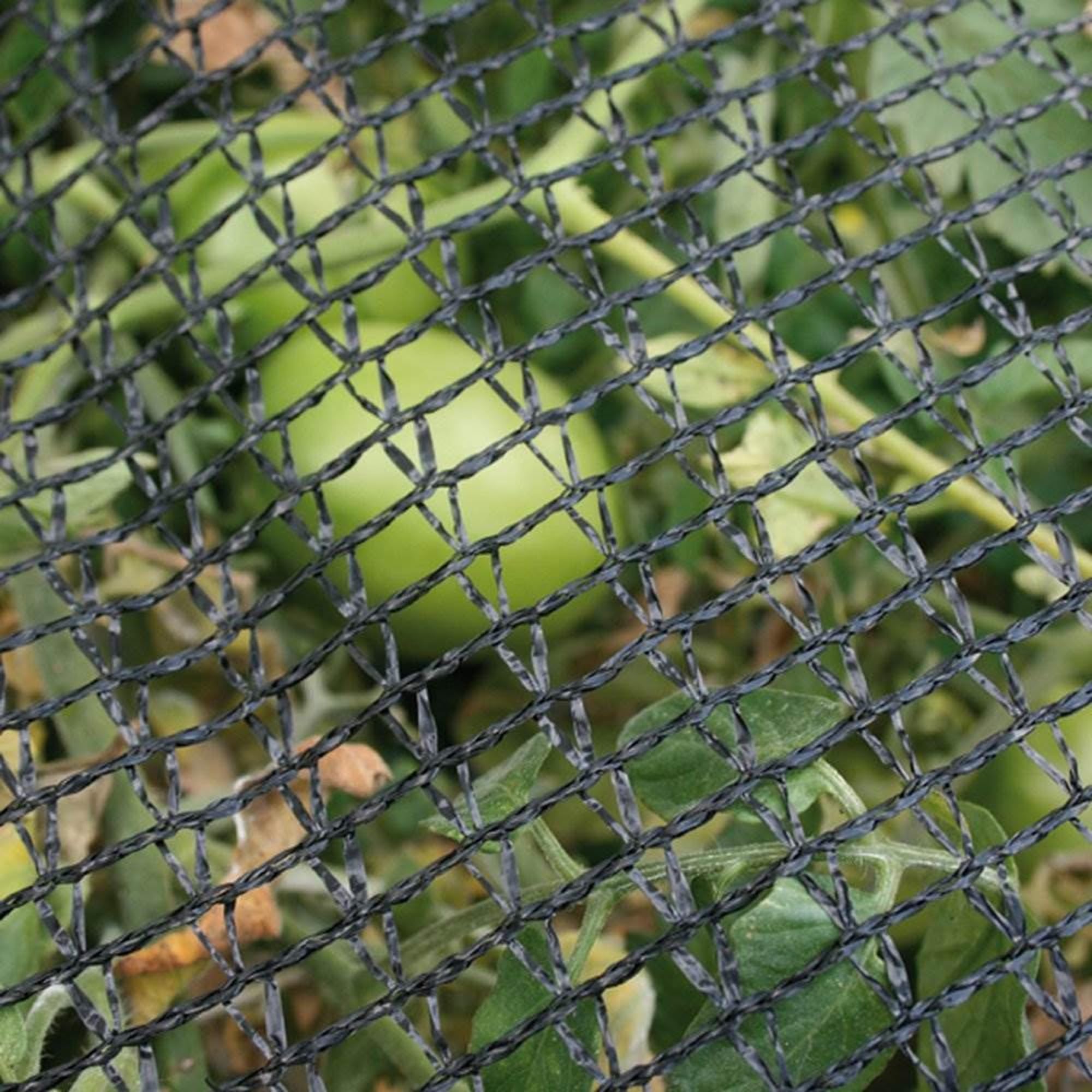 DeWitt 2-Pack Deluxe Bird Barricade Netting with 1/4 Inch Openings, 14x14 Feet – Polyethylene Mesh Protection for Garden Plants, Fruits, Vegetables, Bushes, Trees and Flowers - Image 6