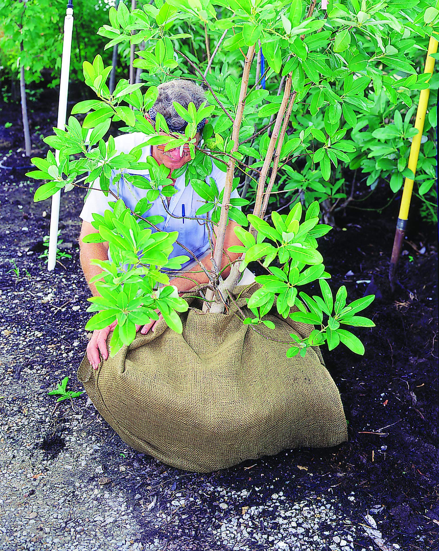 Dewitt 3-Foot by 24-Foot Burlap NB324 - Image 3