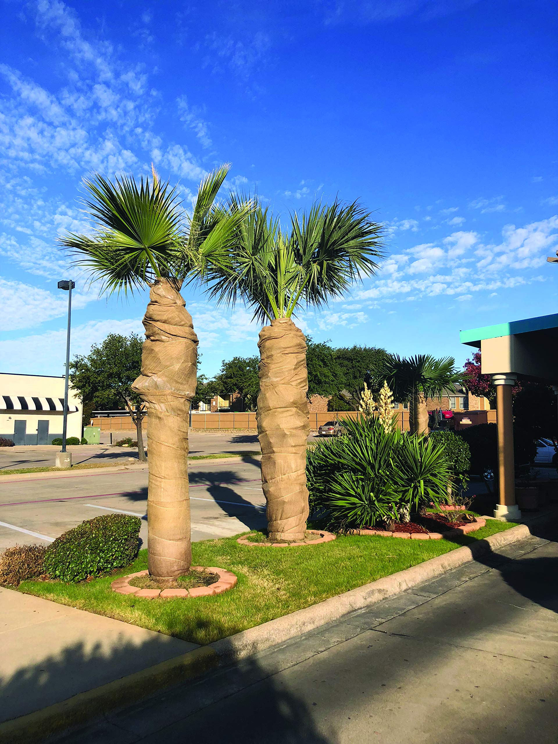 Dewitt 3-Foot by 24-Foot Burlap NB324 - Image 4