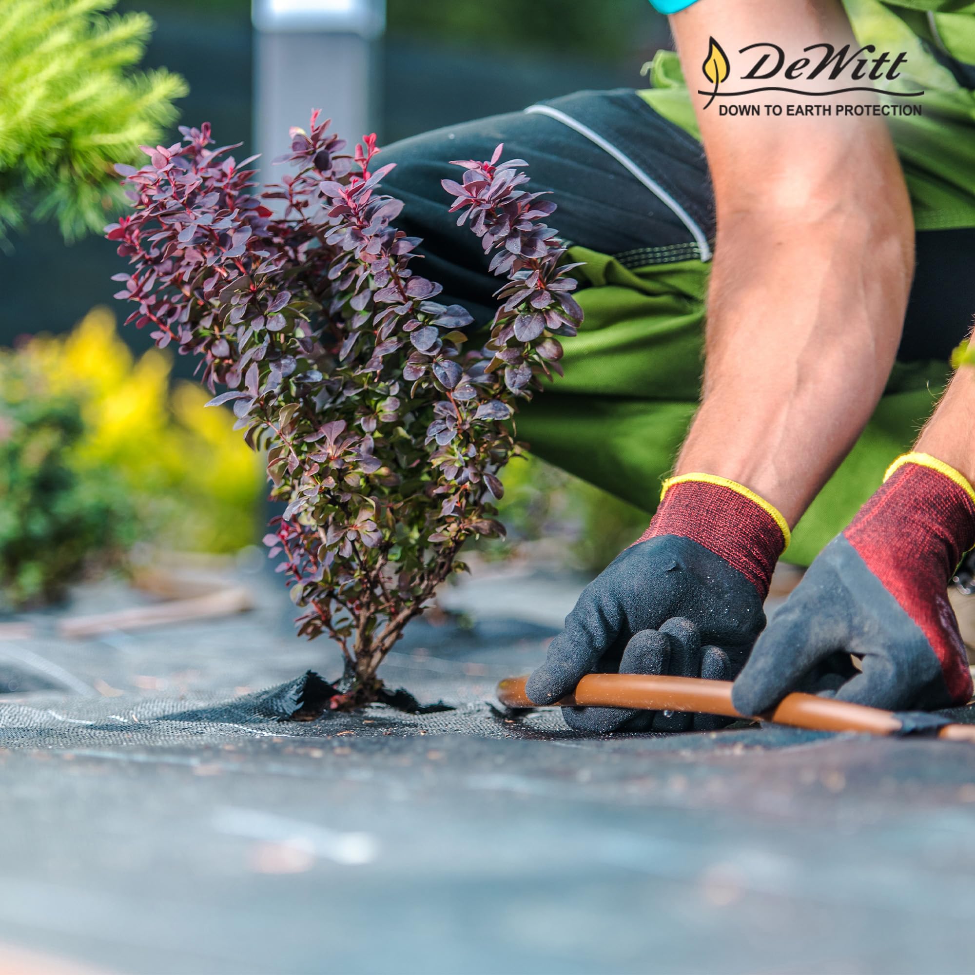 Dewitt 30 Year Professional Weed Control Fabric 3 oz, Brown, 3 x 100 Feet – Heavy-Duty Landscape Barrier and Ground Cover for Gardens, Raised Beds, Walkways, and Outdoor Landscaping - Image 6