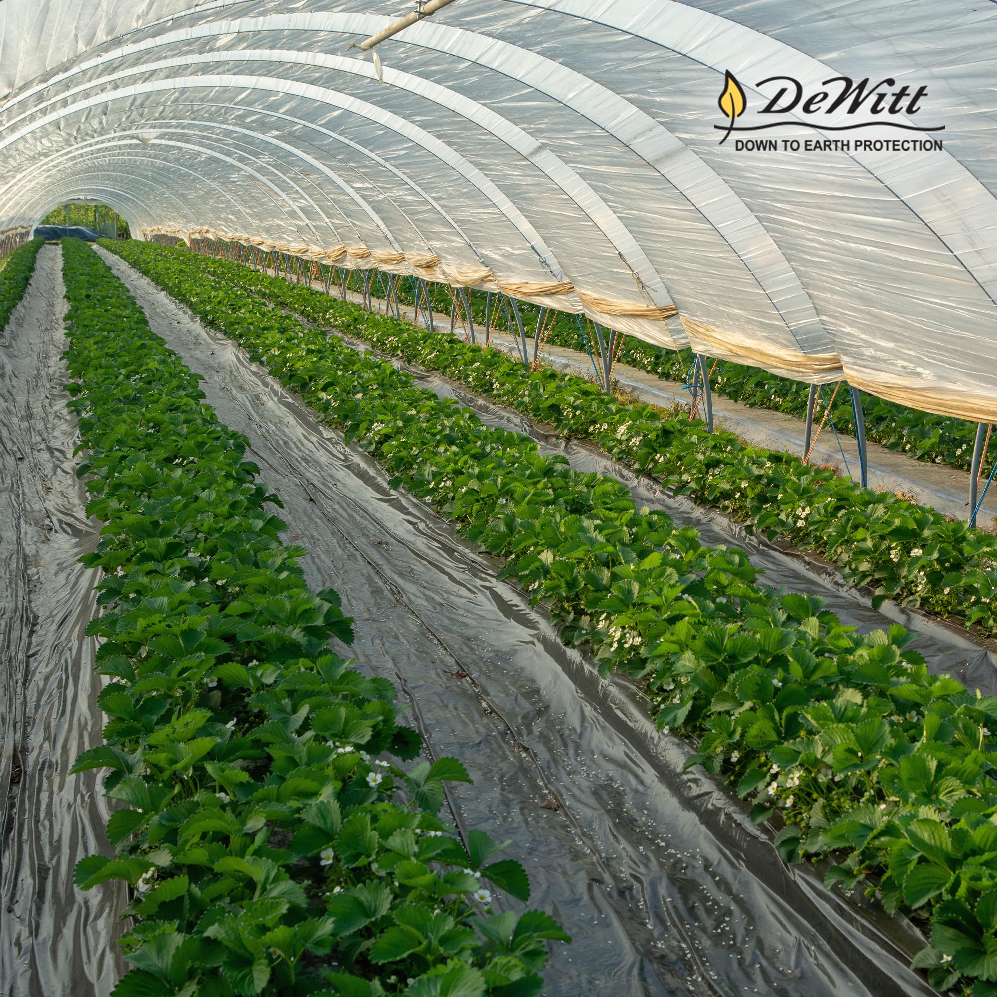 Dewitt 30 Year Professional Weed Control Fabric 3 oz, Brown, 3 x 100 Feet – Heavy-Duty Landscape Barrier and Ground Cover for Gardens, Raised Beds, Walkways, and Outdoor Landscaping - Image 7