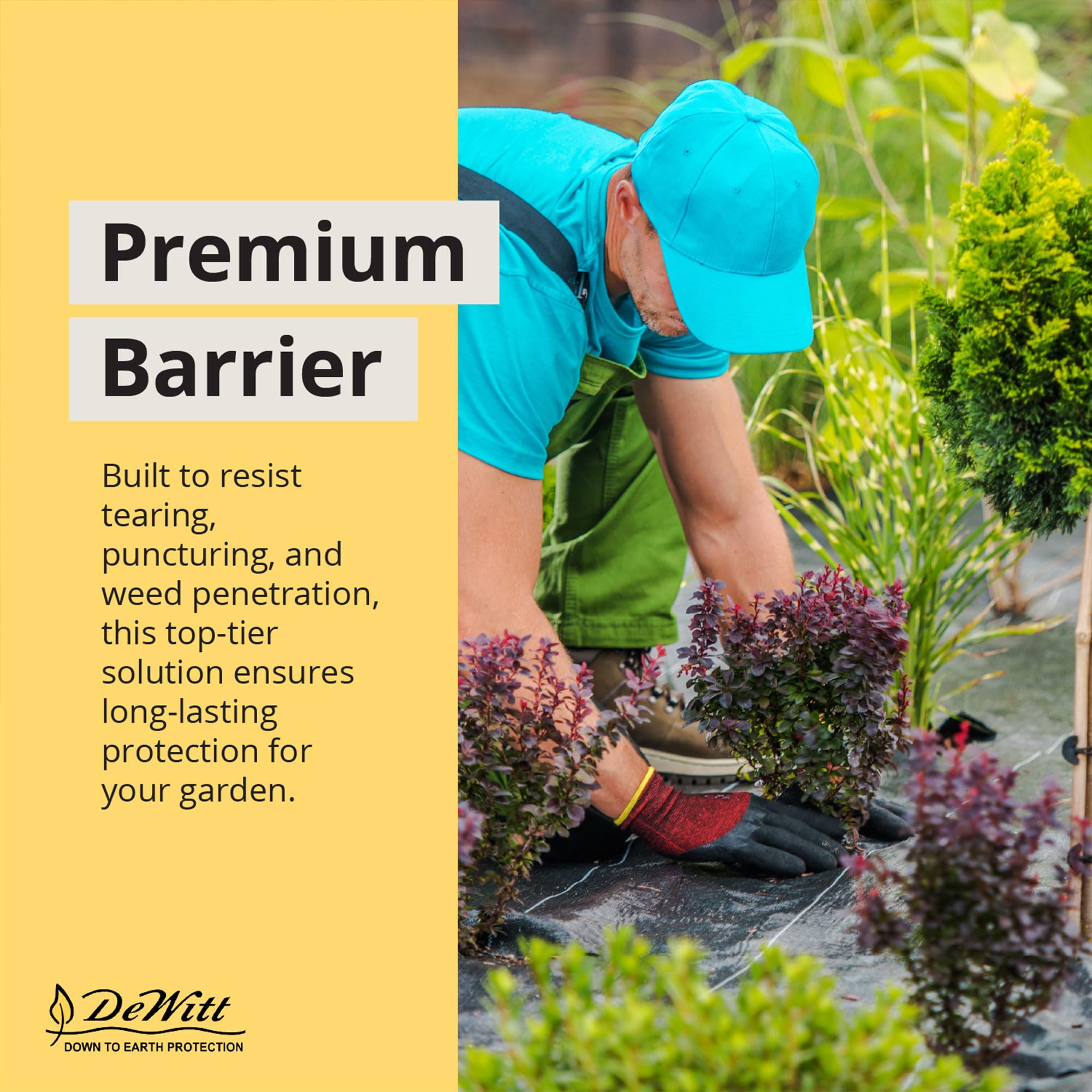 Dewitt 5-Pack Sunbelt Weed Barrier Fabric 3.2 oz, 6 x 300 Feet – Heavy-Duty Ground Cover Mat for Greenhouse Floors, Garden Rows, Raised Beds, Yard Gardening, and Outdoor Landscape Protection - Image 6