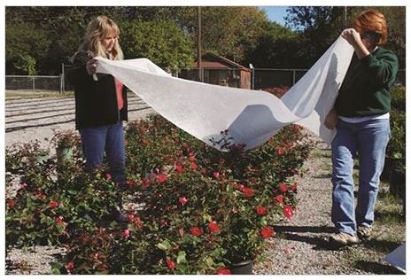 DeWitt DELUXE650 32/box Deluxe .5 oz 6'x50' Frost Cloth Freeze Plant Protection - Image 3