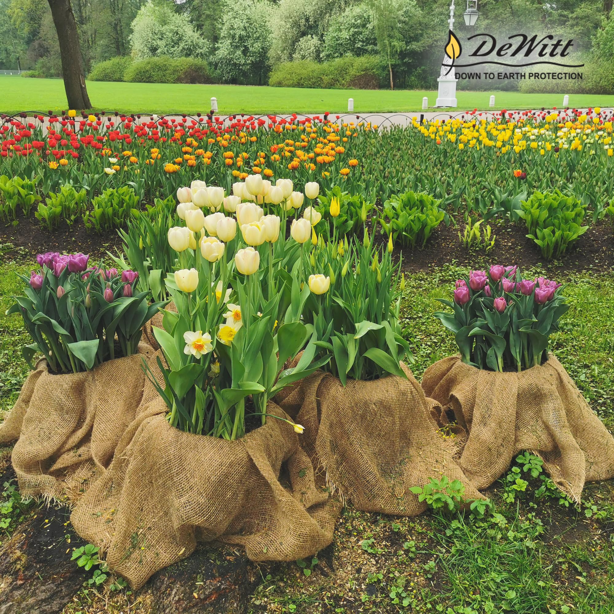 Dewitt Natural Burlap Roll 5.5 oz, 4 x 250 Feet – Medium-Weave Jute Fabric for Soil Covering, Plant Protection, Tree Wraps, Erosion Control, Wind Screens, and Crafts - Image 7