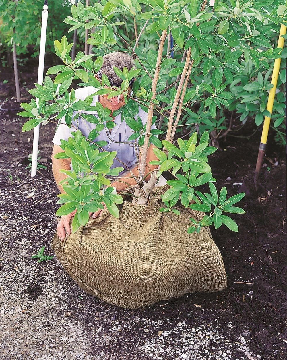 DeWitt NB348 12 Pack Natural Burlap (5.5 OZ) 3x48 Plant Protection Erosion - Image 3