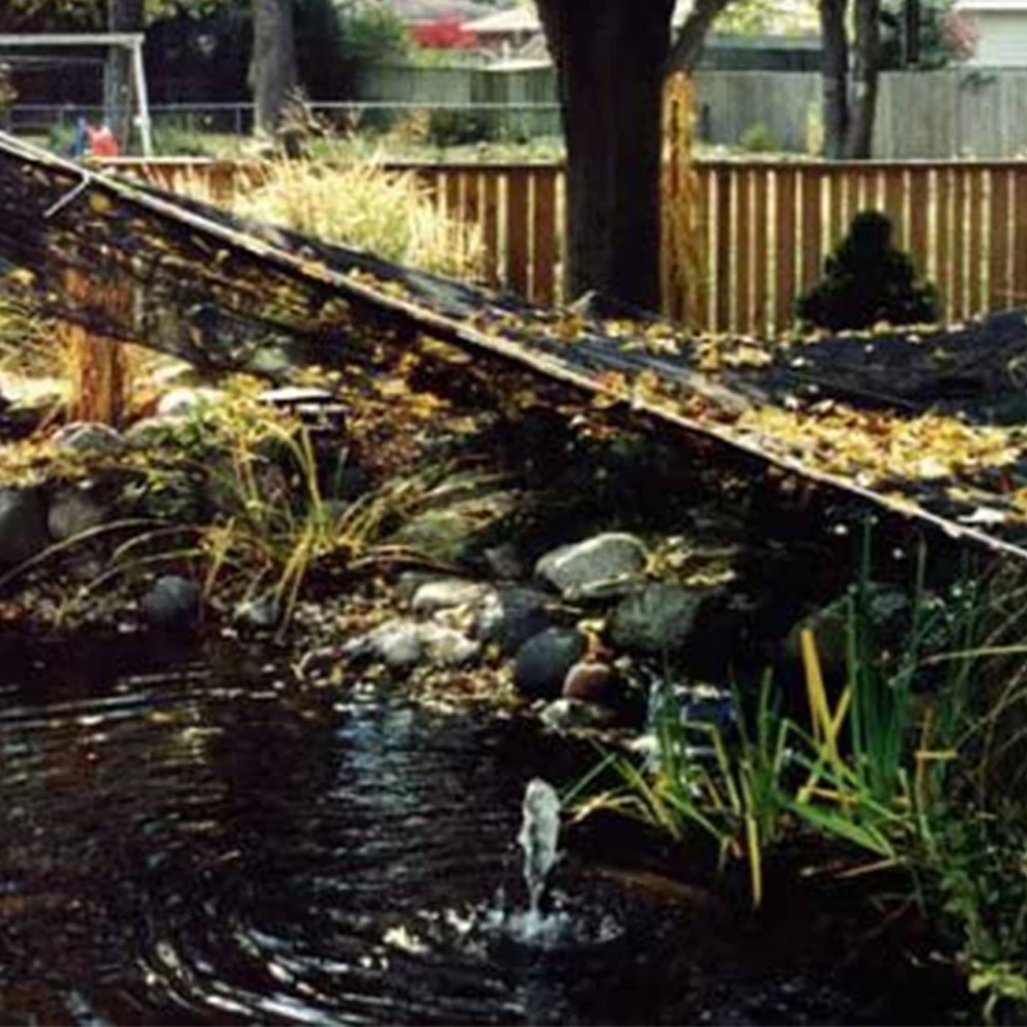 Dewitt PN302020 Deluxe Pond Protection Net, 20 Foot x 20 Foot - Image 5