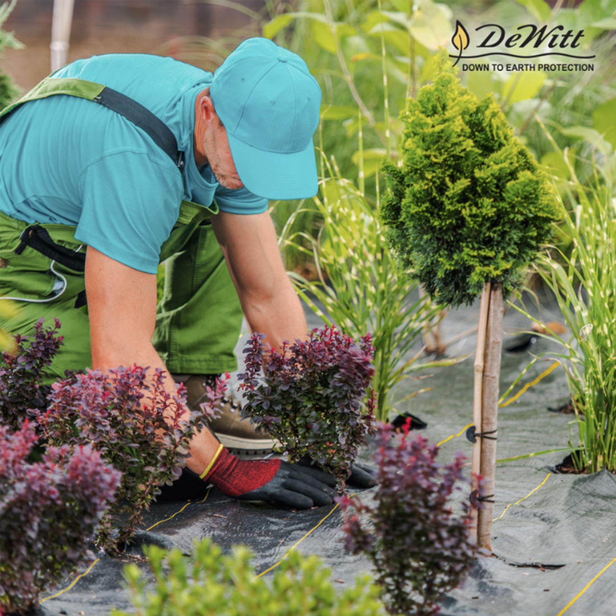 Dewitt Pro-5 Weed Barrier Fabric 5 oz, 4x250 & 6x250 Feet – Heavy-Duty Woven Landscape Ground Cover Mat for Raised Garden Bed, Greenhouse Gardening, Outdoor Landscaping, and Commercial Planting - Image 7